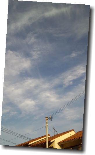 e0014000_8164038.jpg