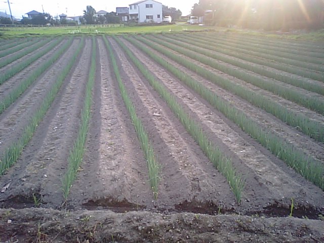 f0231709_20332891.jpg
