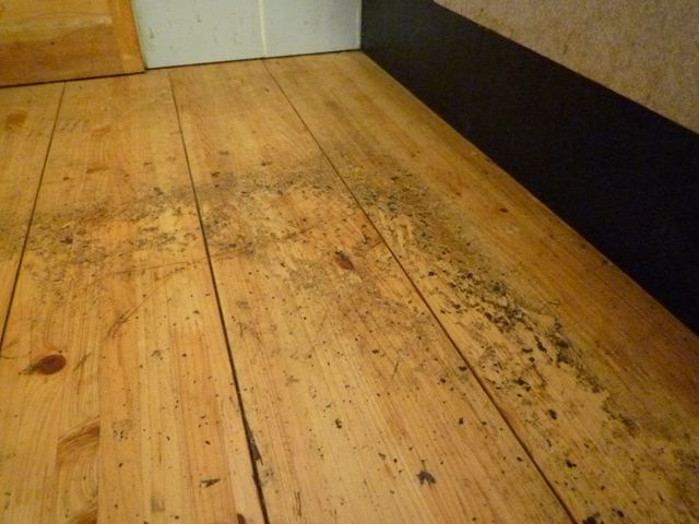 f0207410_19455789.jpg