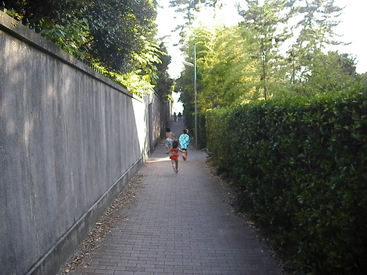 無事に11年目のOPPA-LAが始まります!!!!!!!!!!!_d0106911_16565875.jpg