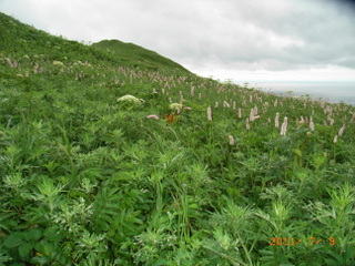 f0110413_20103079.jpg