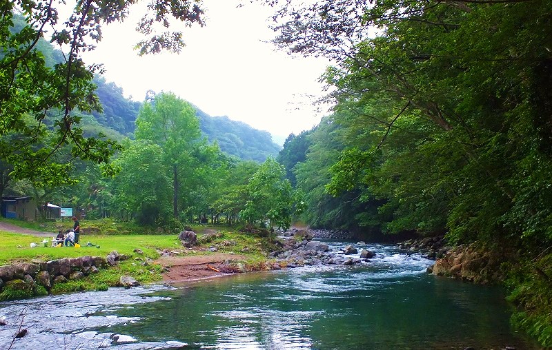 f0182513_20391460.jpg
