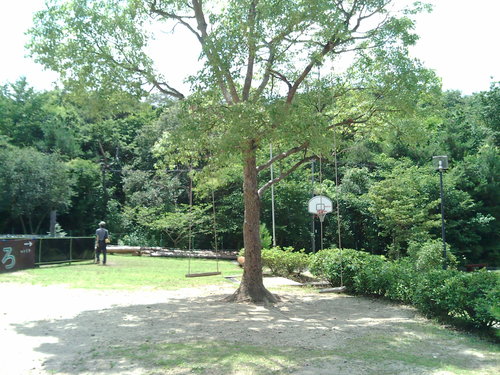 e0149515_085342.jpg
