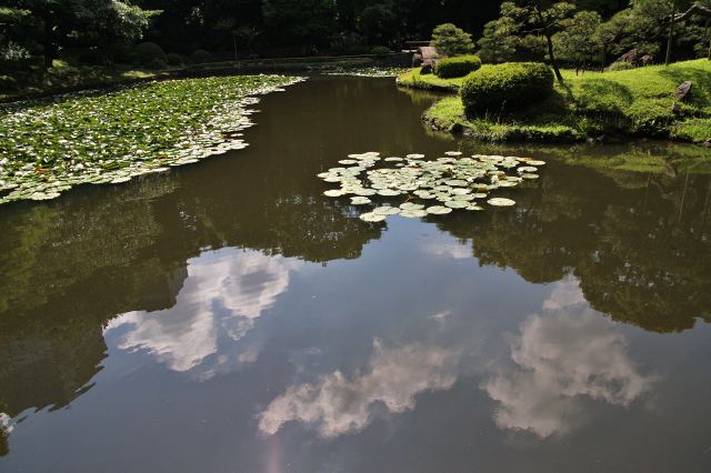 夏の小石川後楽園_e0117318_2226364.jpg