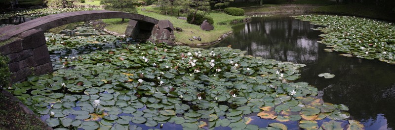 夏の小石川後楽園_e0117318_2238254.jpg