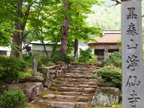 ハナショウブ：黒森山浄仙寺（黒石市）*2012.07.10_b0147224_21255474.jpg