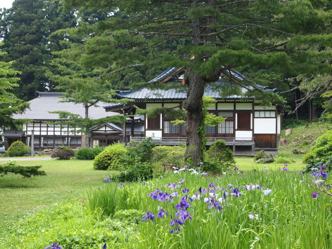 ハナショウブ：黒森山浄仙寺（黒石市）*2012.07.10_b0147224_21273541.jpg