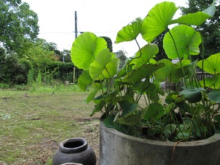 e0202031_22323587.jpg