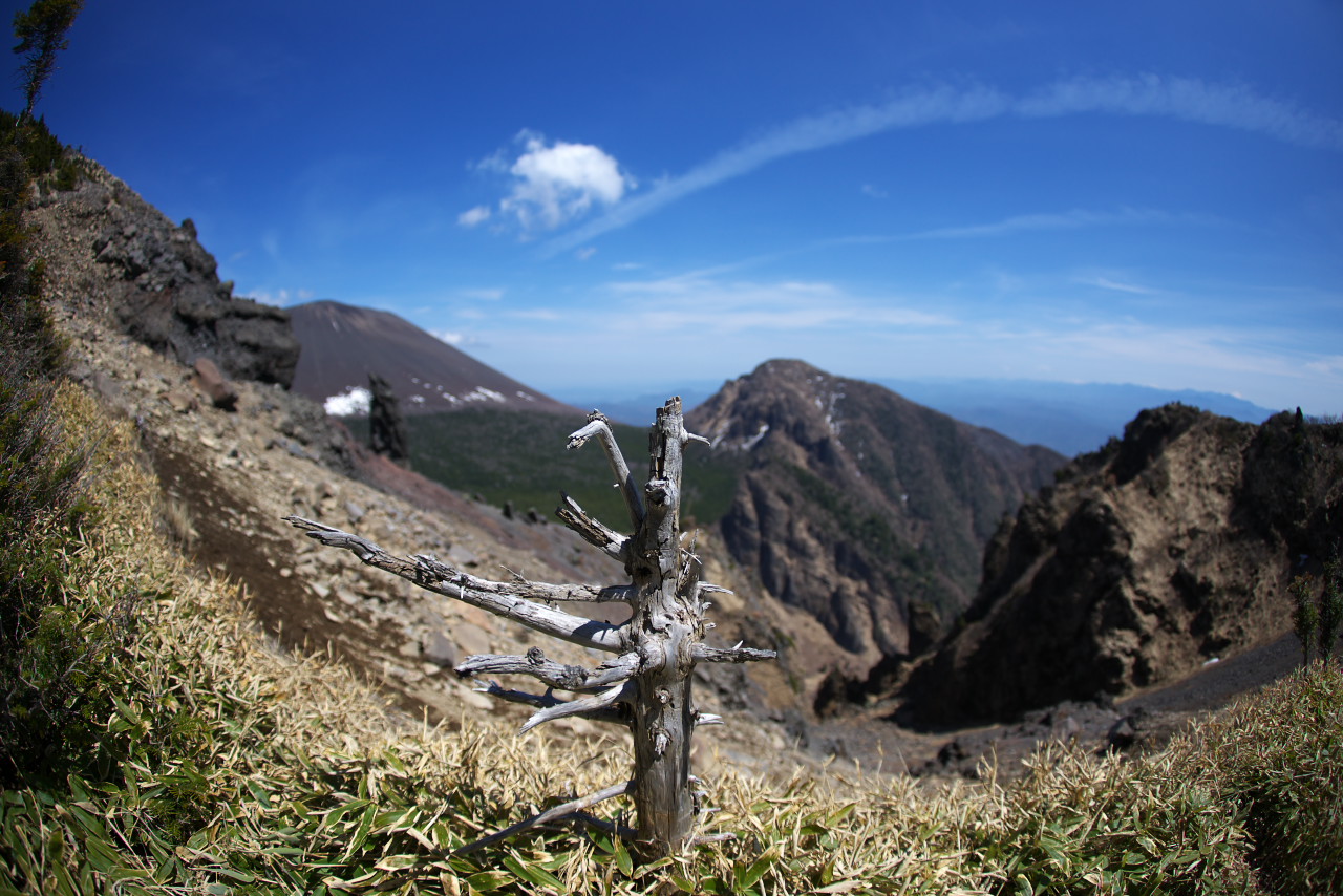 b0162135_2042965.jpg