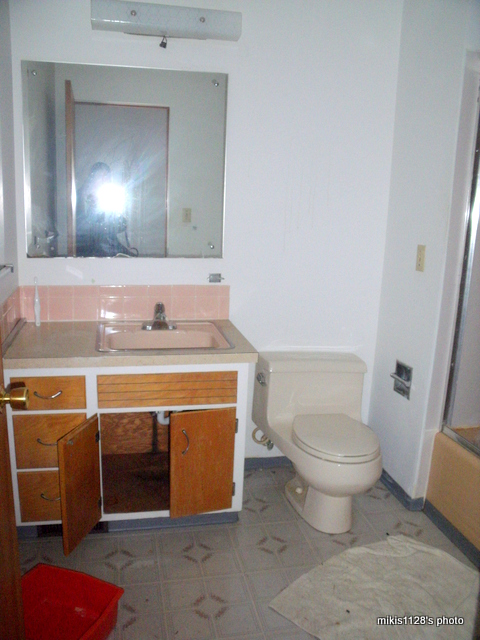 New Vanity!_f0045736_15364820.jpg