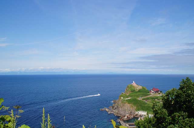 f0154940_6305558.jpg