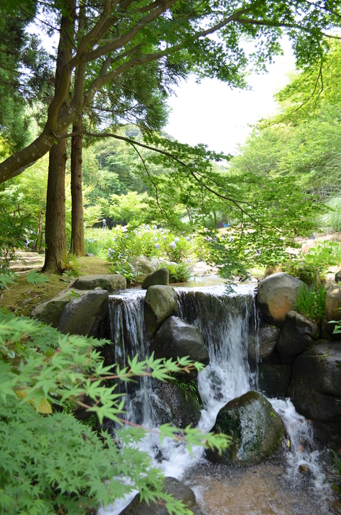 ”束の間の癒しの時間”_d0153941_11394432.jpg