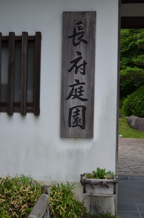”束の間の癒しの時間”_d0153941_1144569.jpg