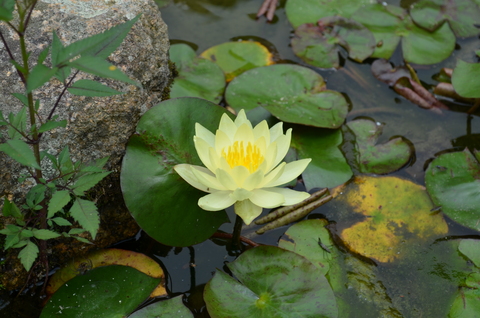 ”束の間の癒しの時間”_d0153941_11452596.jpg