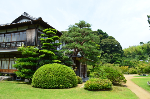 ”束の間の癒しの時間”_d0153941_11501761.jpg