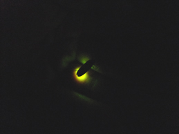 d0179044_17778.jpg