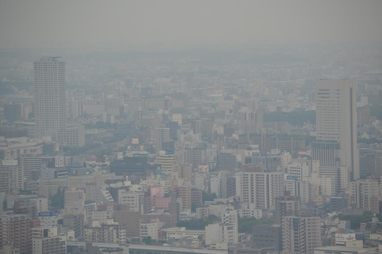 a0055650_3442321.jpg