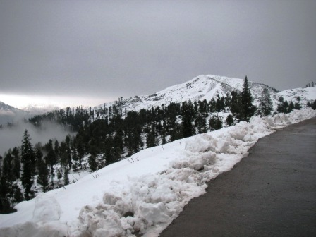 f0112655_12518.jpg
