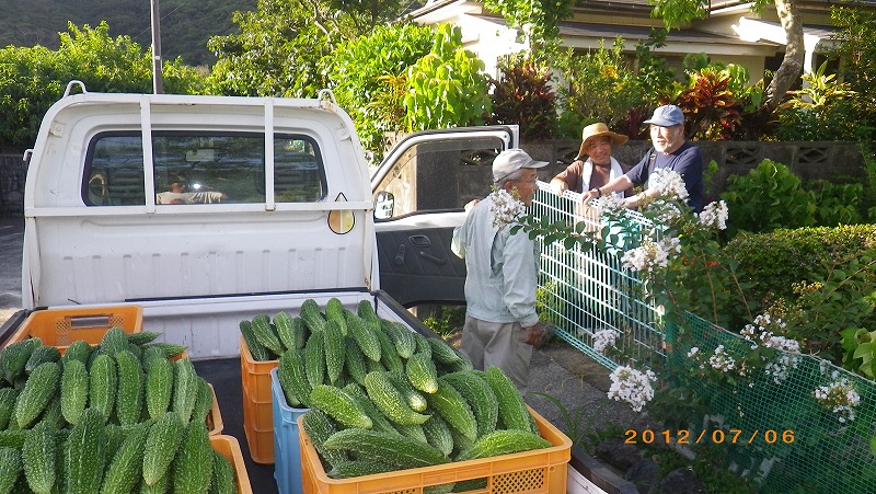 豊潮丸航海ー２　７月６日（７月１１日）_b0075059_1626636.jpg