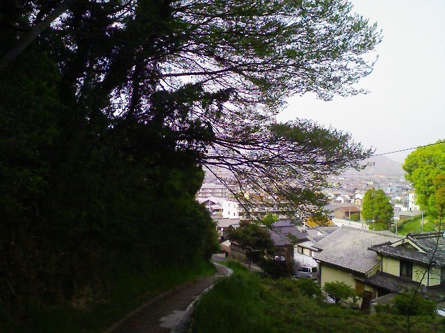 2011/05/02　日笠山　一本松山_d0233770_9264825.jpg