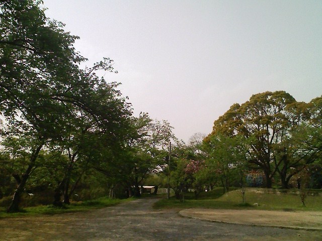 2011/05/02　日笠山　一本松山_d0233770_9273145.jpg