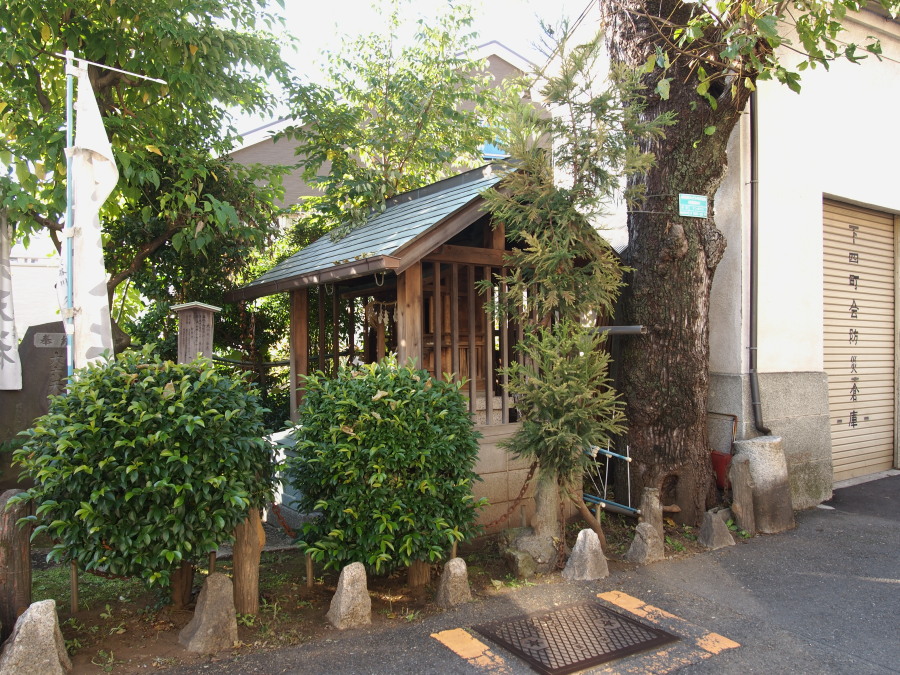 e0163471_17294445.jpg