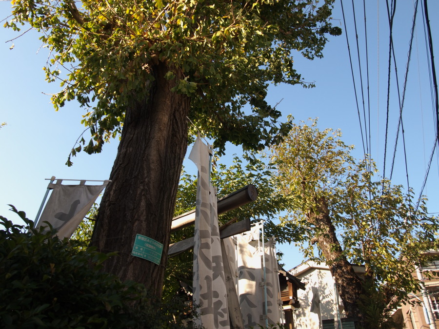 e0163471_17304031.jpg