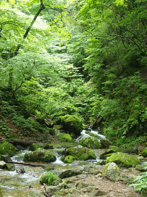 思い出の御岳山～ロックガーデン～上高岩山～奧の院～御嶽神社 （3）　懐かしのロックガーデン_e0195587_1944214.jpg