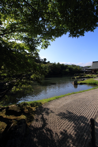 天龍寺_e0051888_22542669.jpg