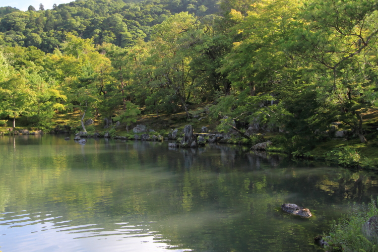 天龍寺_e0051888_2255358.jpg