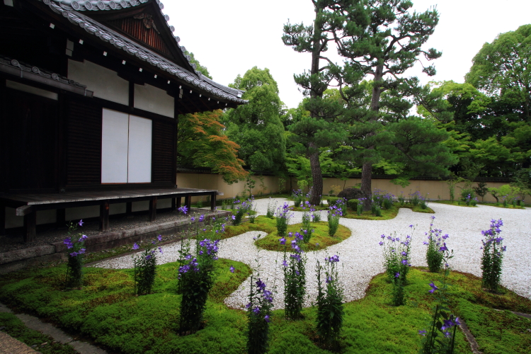 廬山寺_e0051888_23122485.jpg