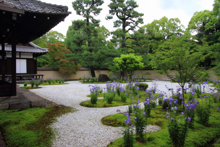 廬山寺_e0051888_23172961.jpg