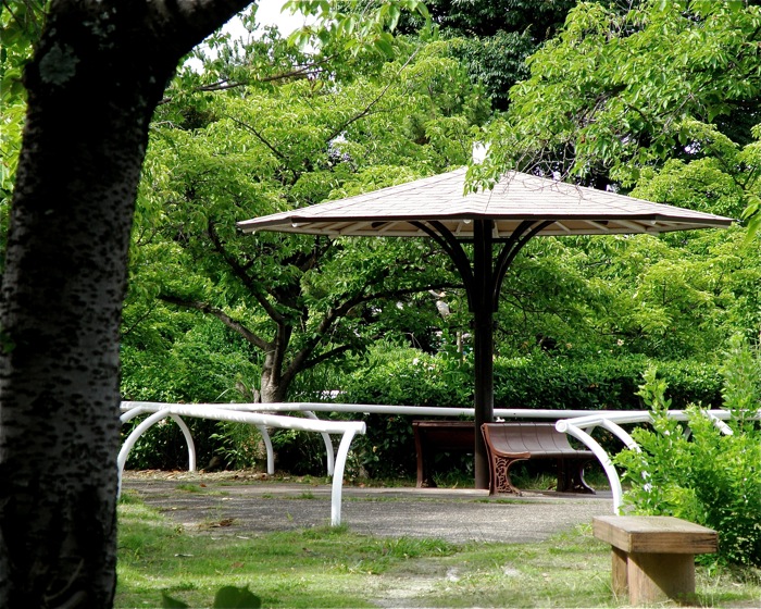 ようやく屋根がつきました 近くの公園 の屋根付きベンチ 楽餓鬼