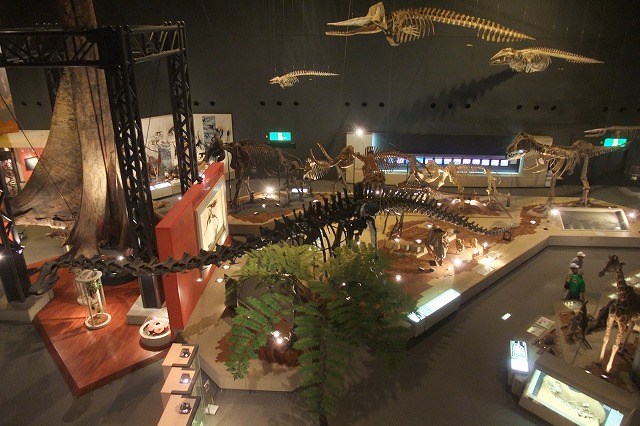 e0070891_205165.jpg