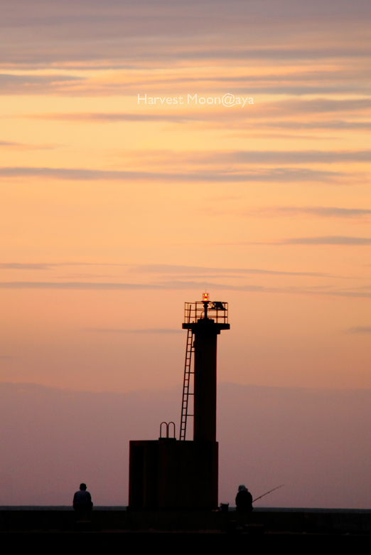 夏の始まり~釣りの夕べ_b0208495_2031887.jpg