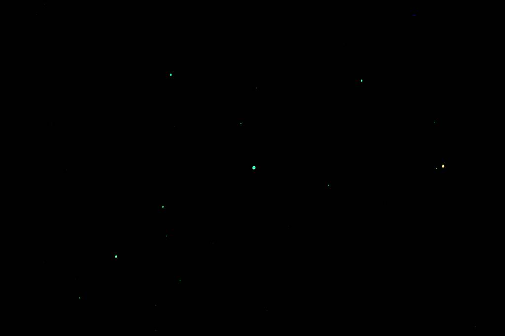 b0024798_1048985.jpg