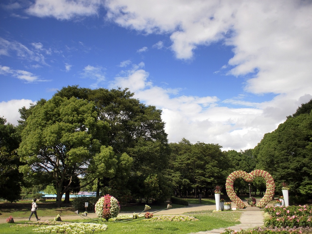 雨上がりの公園⑥_b0138101_5321450.jpg