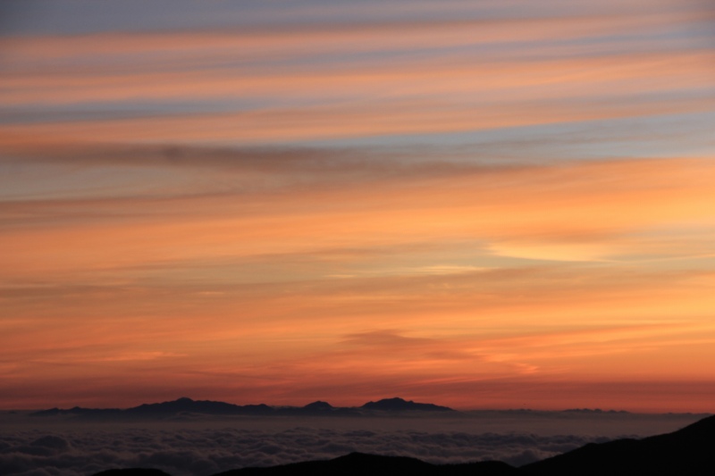 a0188405_955103.jpg