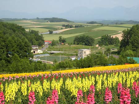f0032812_214268.jpg