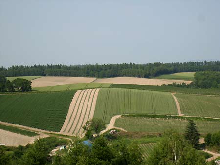 f0032812_2165496.jpg