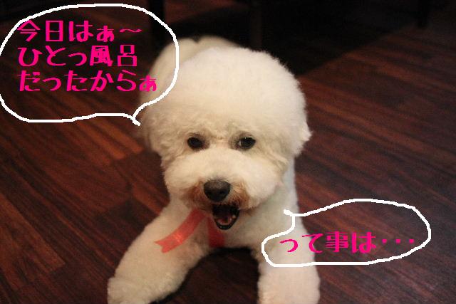 すかしっ屁の話の後は。。。_b0130018_23394197.jpg