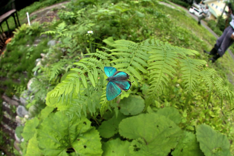 d0090322_23202269.jpg