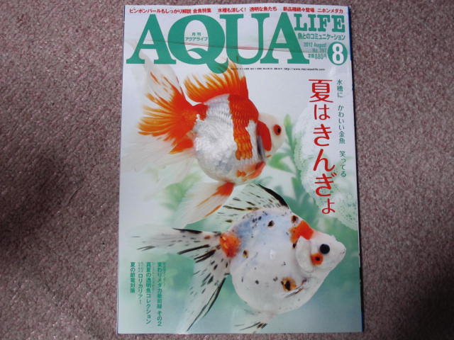 月間アクアライフ8月号_a0185031_18471215.jpg