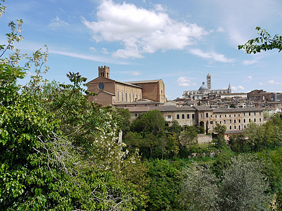 Parco pubblico a Siena_d0262144_9202167.jpg