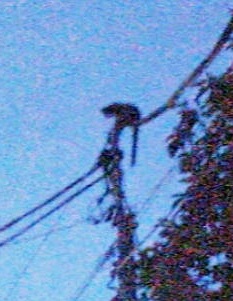 b0203758_916214.jpg