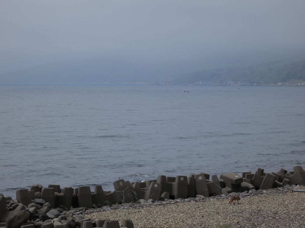 2012北海道　9日目2　熊の湯、瀬石温泉_a0098864_22542667.jpg