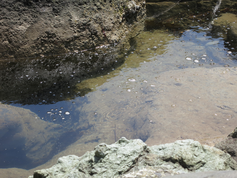 2012北海道　9日目2　熊の湯、瀬石温泉_a0098864_22572118.jpg