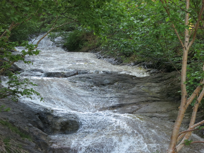 a0098864_2293657.jpg