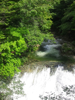 c0050264_10272936.jpg