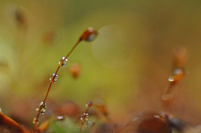 c0240388_14251843.jpg